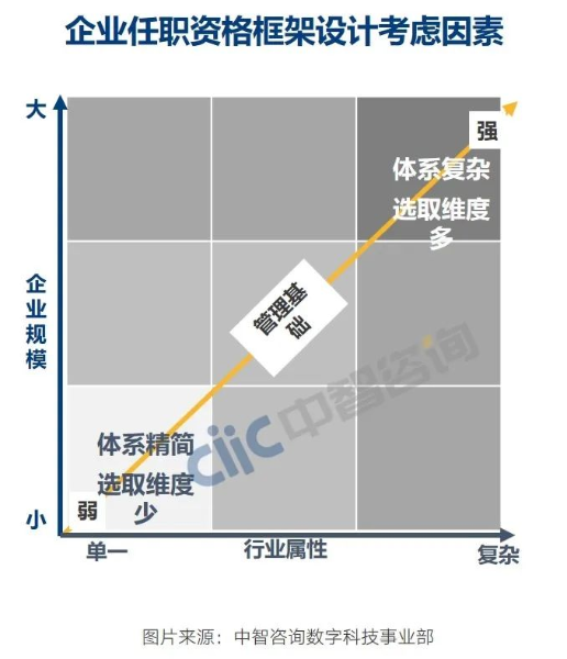 任职资格体系