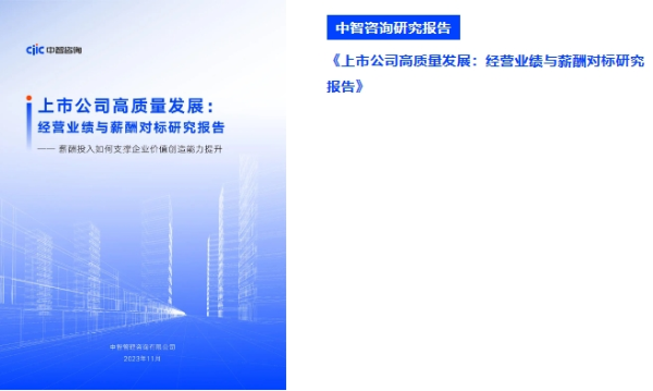 中智咨询研究报告 中智咨询研究报告