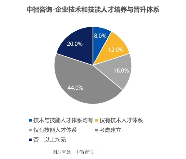 技术技能人才培养和晋升体系