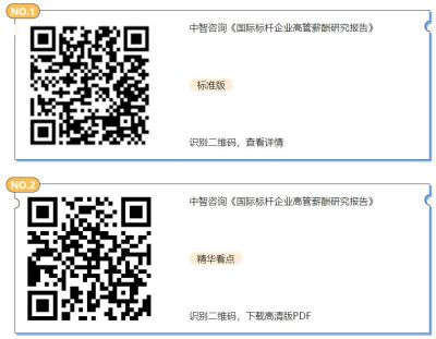 高管薪酬研究报告 高管薪酬研究报告